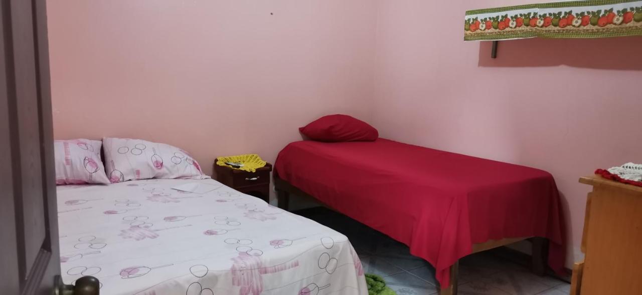 Cabinas Mitchaelle'S Puerto Viejo de Talamanca エクステリア 写真