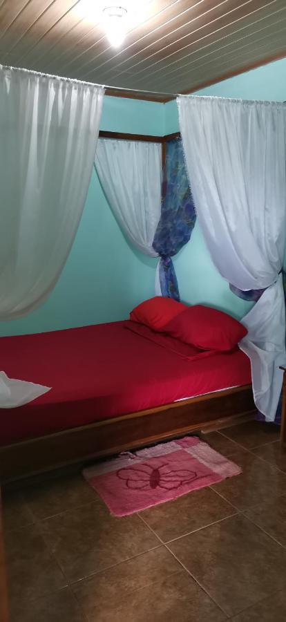 Cabinas Mitchaelle'S Puerto Viejo de Talamanca エクステリア 写真
