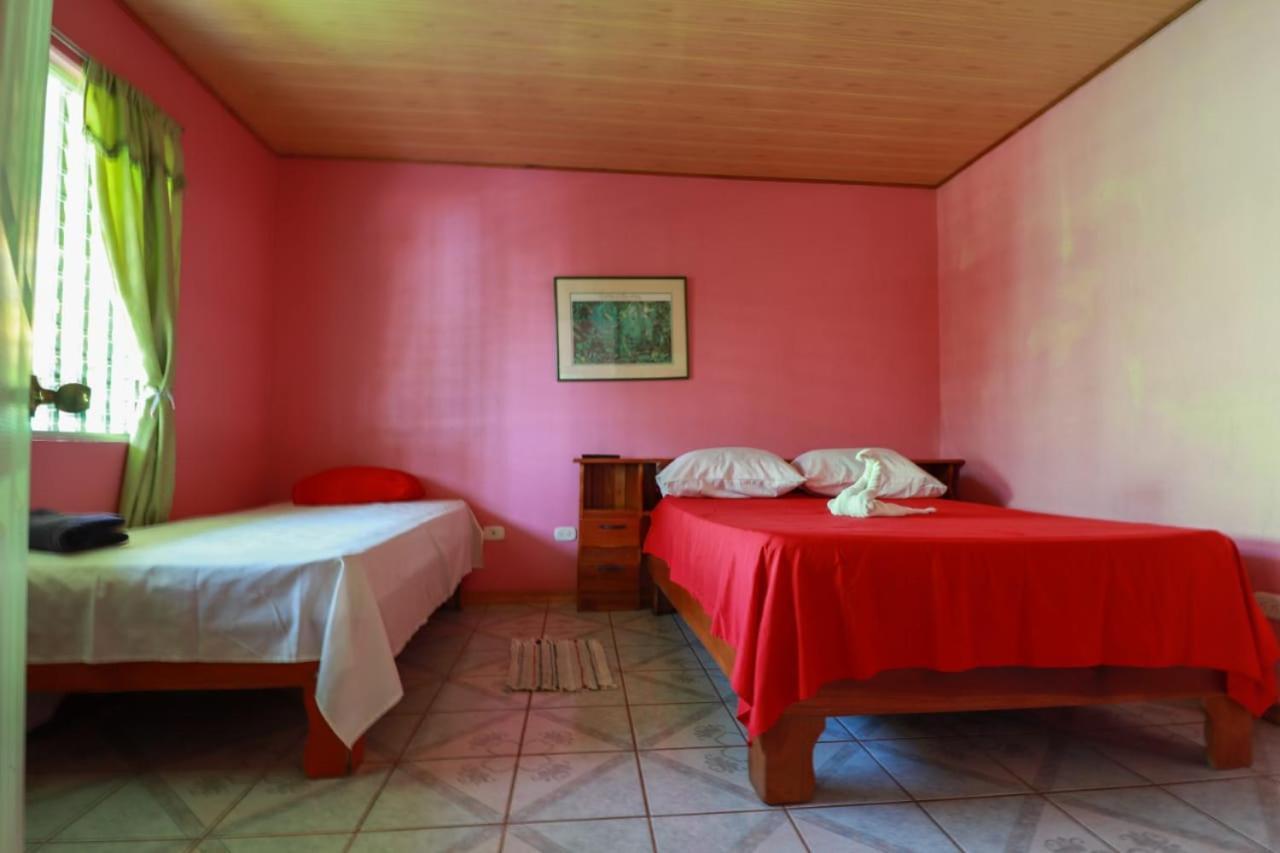 Cabinas Mitchaelle'S Puerto Viejo de Talamanca エクステリア 写真