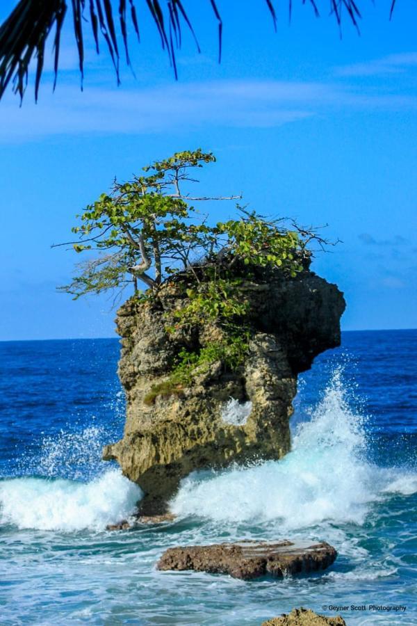 Cabinas Mitchaelle'S Puerto Viejo de Talamanca エクステリア 写真
