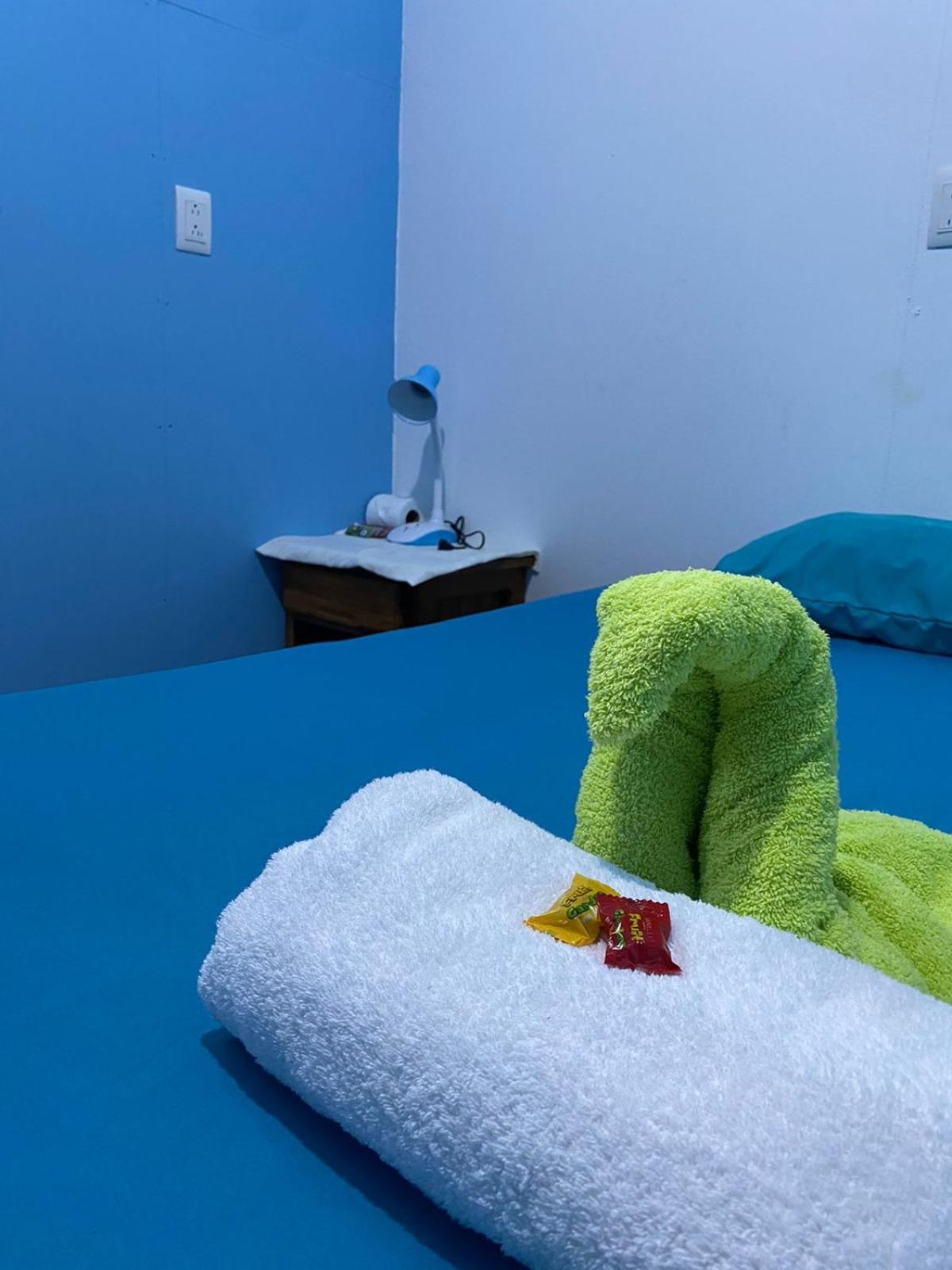 Cabinas Mitchaelle'S Puerto Viejo de Talamanca エクステリア 写真