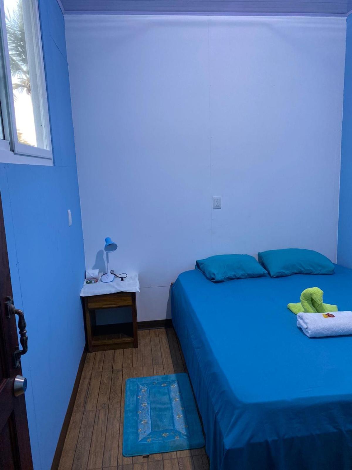 Cabinas Mitchaelle'S Puerto Viejo de Talamanca エクステリア 写真